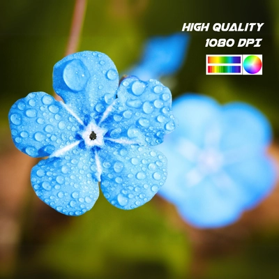 High Resolution and Continuous Performance – Spectrum High Resolution and Continuous Performance – Spectrum
