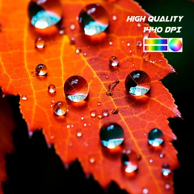 High Resolution and Efficiency – Spectrum High Resolution and Efficiency – Spectrum
