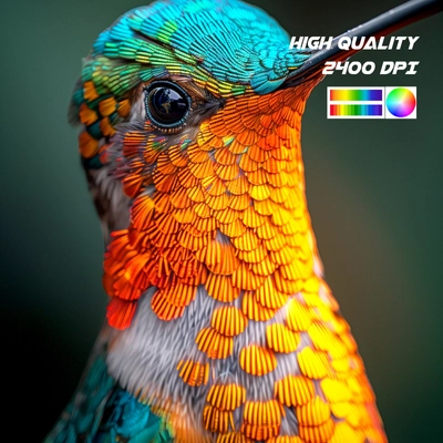 High Resolution and – Spectrum High Resolution and – Spectrum